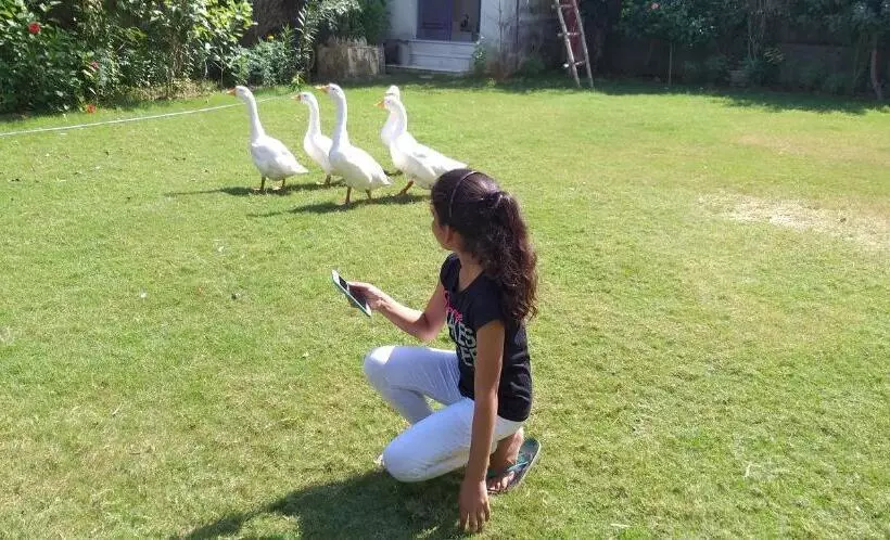 Majatalo Ibishouse Farm Stay