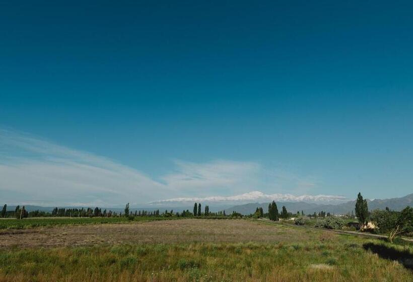 Bed & Breakfast Villa Trinidad Guesthouse