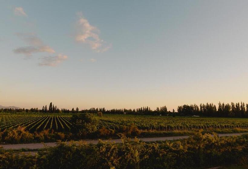 Bed & Breakfast Villa Trinidad Guesthouse