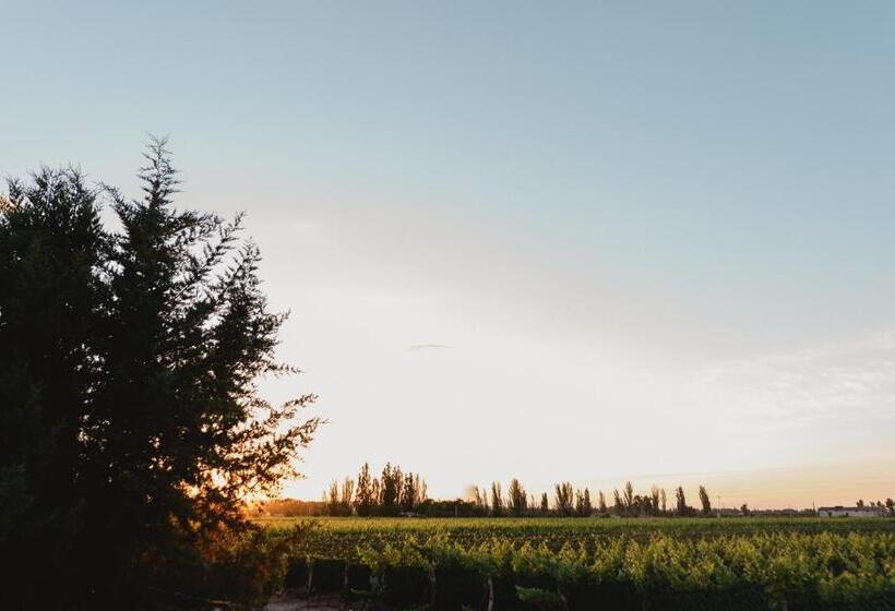 Bed & Breakfast Villa Trinidad Guesthouse