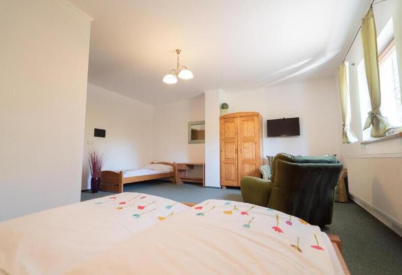 Pension U Stříbrného Jelena