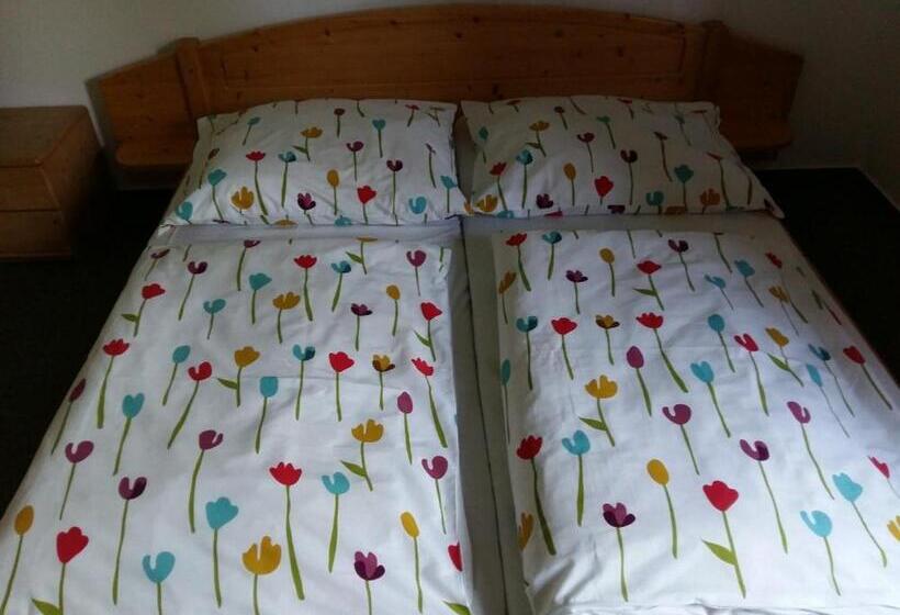 Pension U Stříbrného Jelena