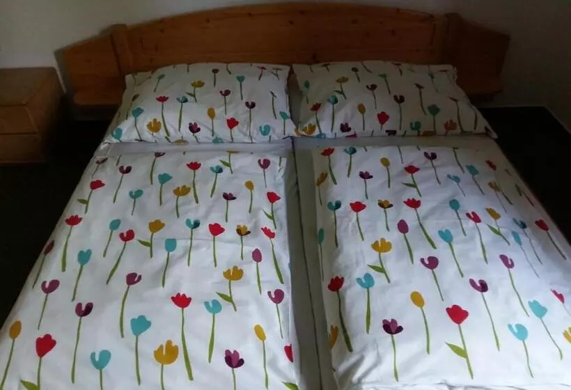 Pension U Stříbrného Jelena