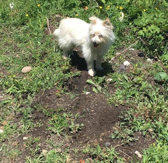 تختخواب و صبحانه Hospedaje Familiar Nicomacc