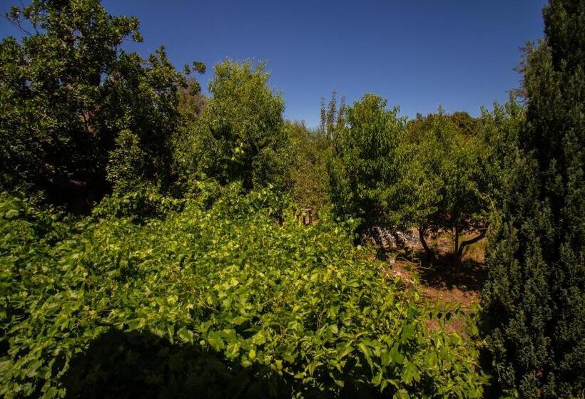 تختخواب و صبحانه Hospedaje Familiar Nicomacc