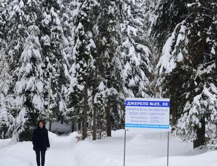 فندق Zelenyy Bir