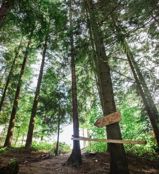 فندق Zelenyy Bir