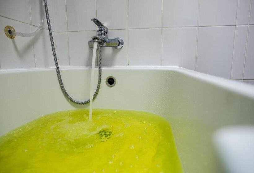 فندق Zelenyy Bir