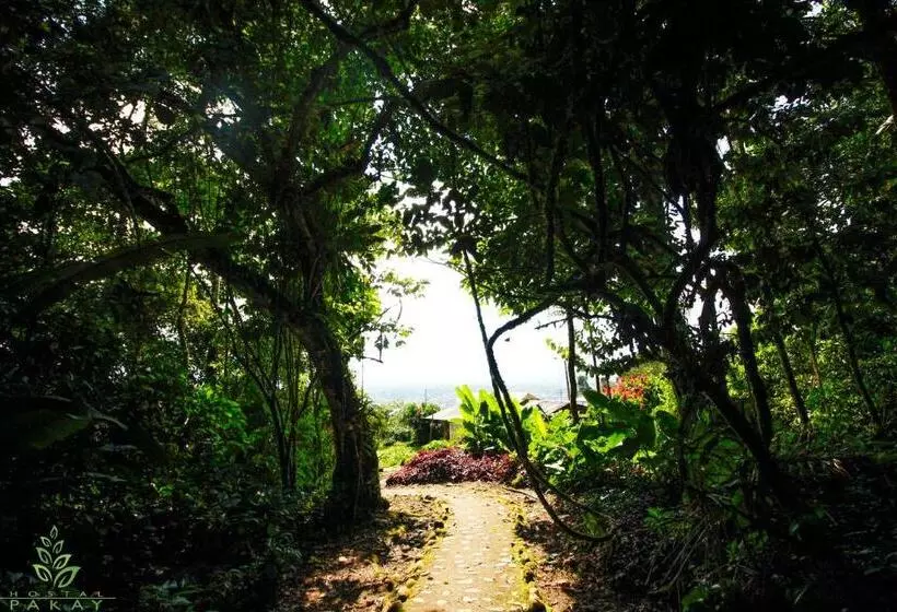 Majatalo Hostal Pakay