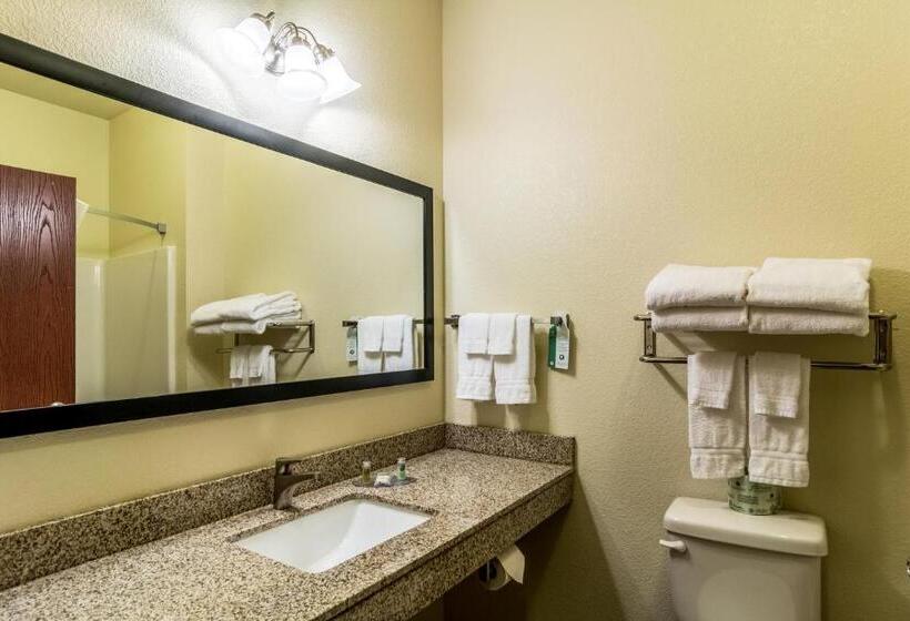 Cobblestone Hotel & Suites   Torrington