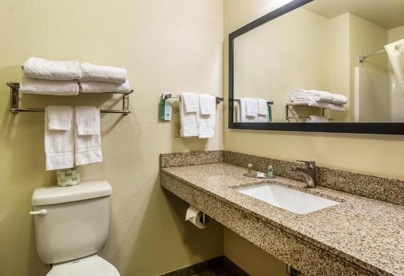 Cobblestone Hotel & Suites   Torrington