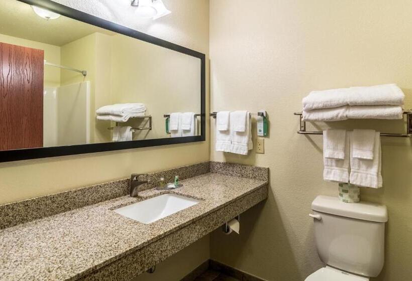 Cobblestone Hotel & Suites   Torrington