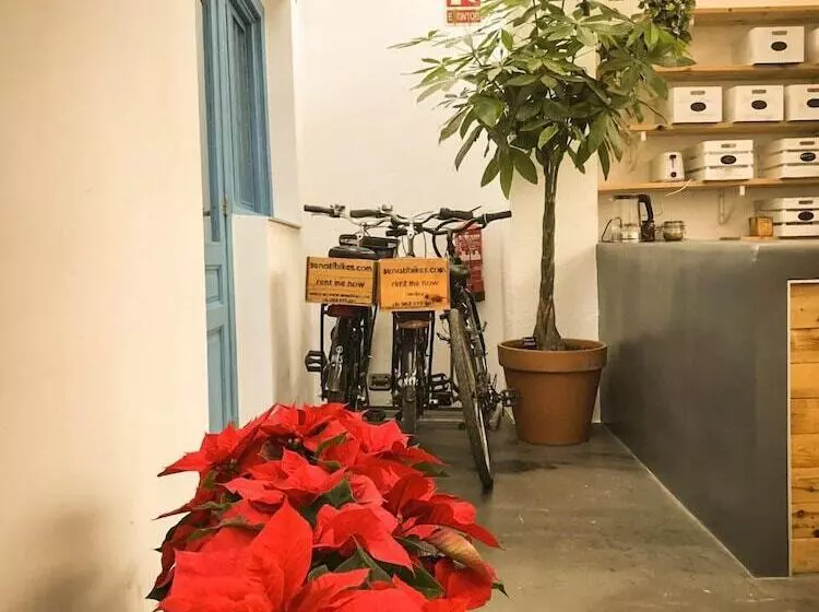 پانسیون Cantagua Hostel