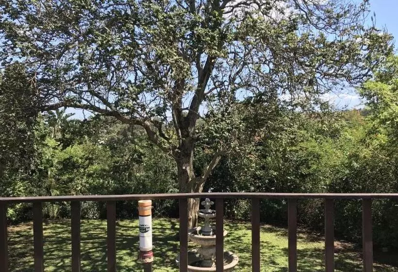 ホテル Amble Inn Guest House