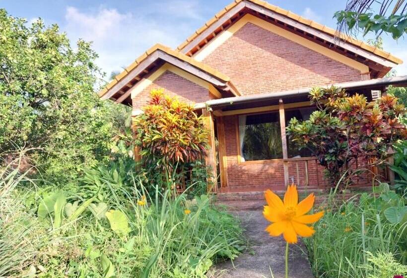 تختخواب و صبحانه Phu Quoc Pomelo Garden