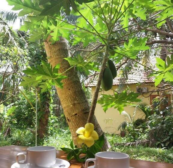 تختخواب و صبحانه Phu Quoc Pomelo Garden