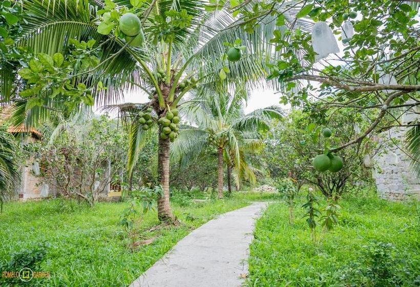 تختخواب و صبحانه Phu Quoc Pomelo Garden