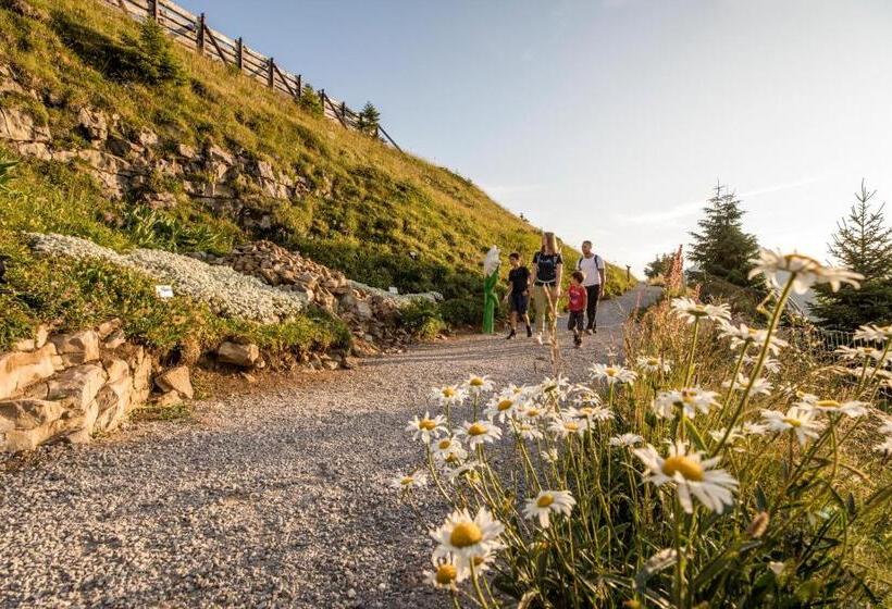 Berghotel Schynige Platte