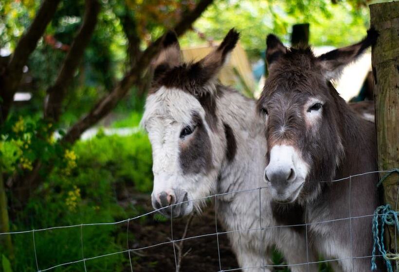 Pontyclerc Farm House Bed And Breakfast