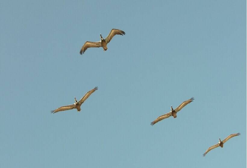 ホテル Stella Del Mar
