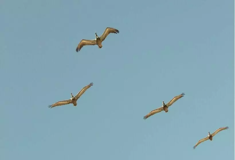 Hotelli Stella Del Mar