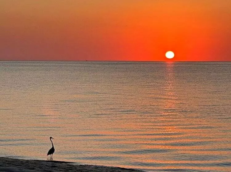 Hotelli Stella Del Mar