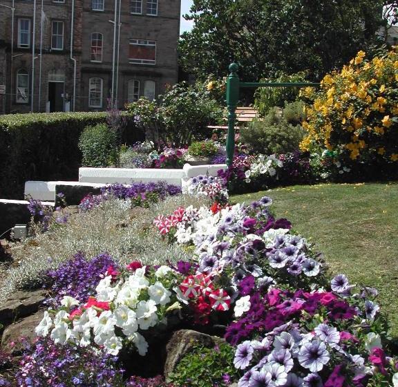 پانسیون Whitehaven Guest House