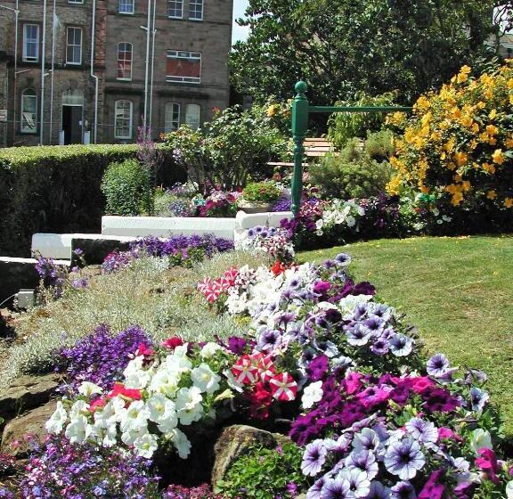 پانسیون Whitehaven Guest House