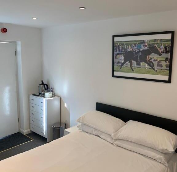 Мотель The Olive