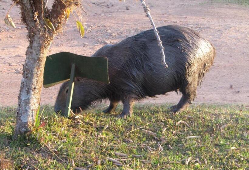 הוסטל Arandu Ecolodge