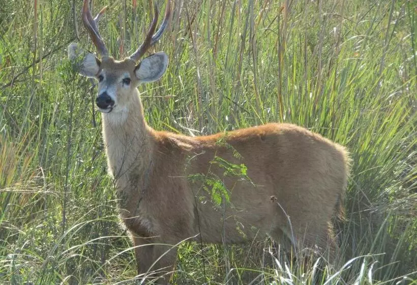 ユースホステル Arandu Ecolodge