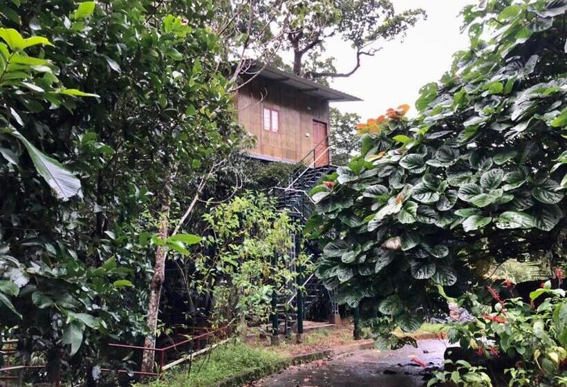 בית מלון כפרי Nutmeg Valley