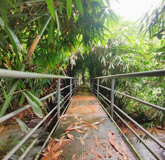 בית מלון כפרי Nutmeg Valley