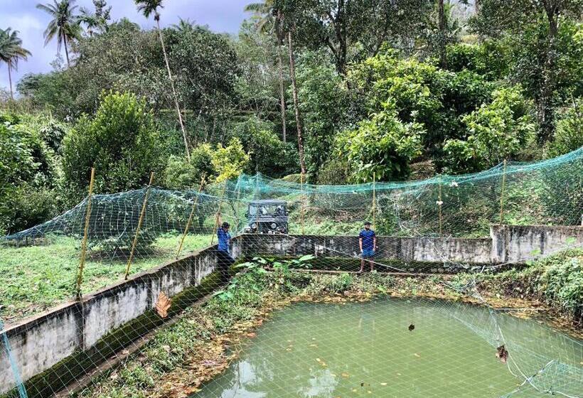 בית מלון כפרי Nutmeg Valley