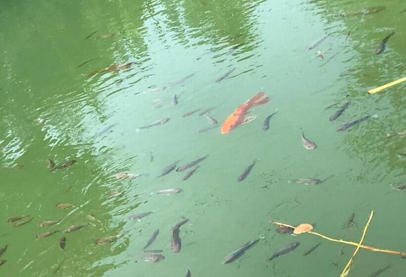 בית מלון כפרי Nutmeg Valley