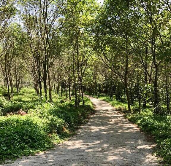 בית מלון כפרי Nutmeg Valley