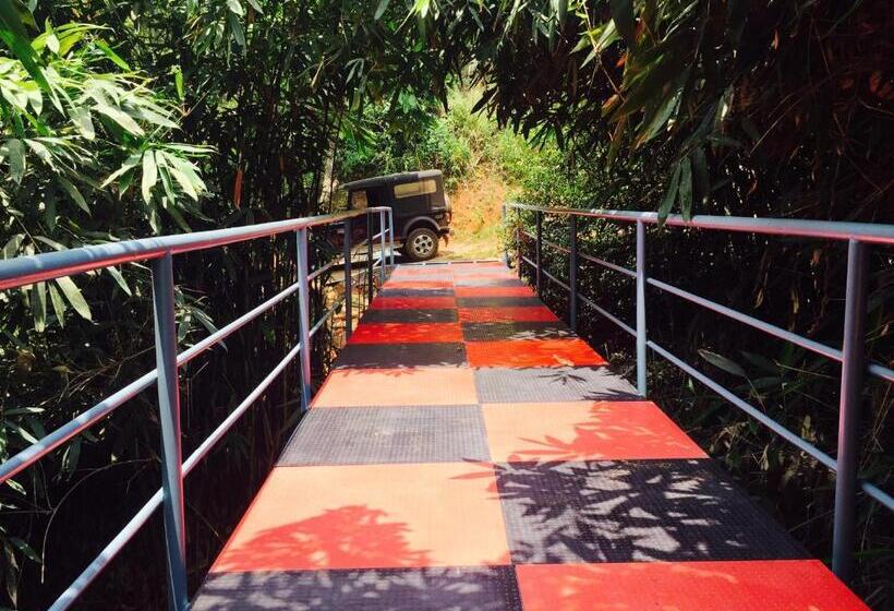 בית מלון כפרי Nutmeg Valley