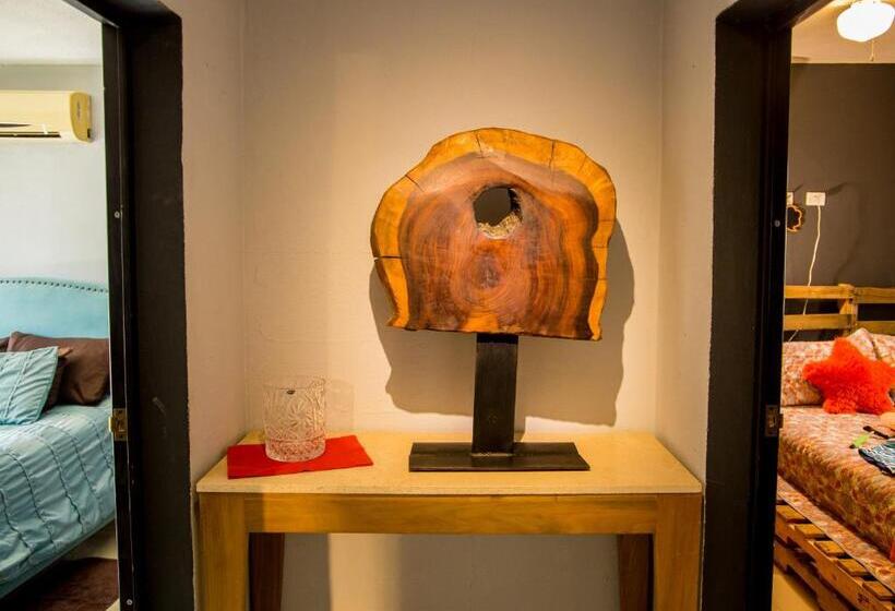 Bed and Breakfast Dici Co Living Housing Cabo San Lucas