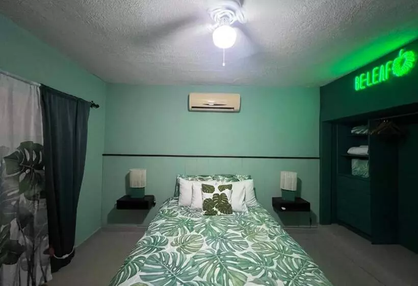 تختخواب و صبحانه Dici Co Living Housing Cabo San Lucas
