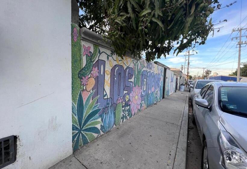 Bed and Breakfast Dici Co Living Housing Cabo San Lucas