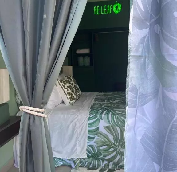 تختخواب و صبحانه Dici Co Living Housing Cabo San Lucas