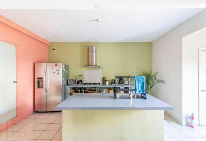 Bed and Breakfast Dici Co Living Housing Cabo San Lucas