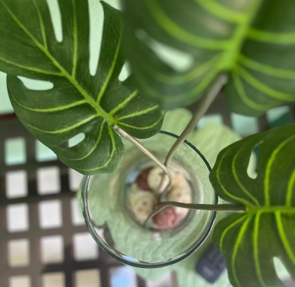 Bed and Breakfast Dici Co Living Housing Cabo San Lucas