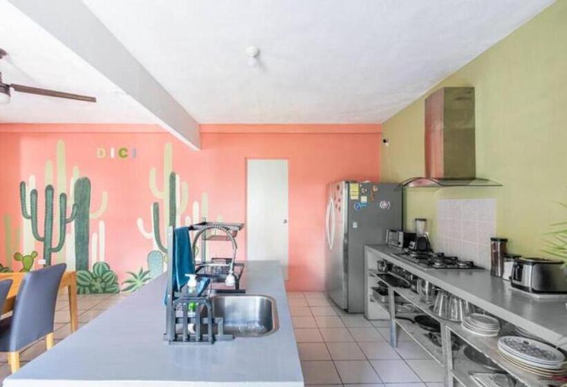 Bed and Breakfast Dici Co Living Housing Cabo San Lucas