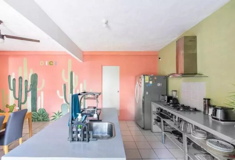 تختخواب و صبحانه Dici Co Living Housing Cabo San Lucas