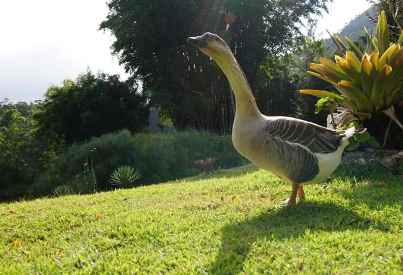 旅馆 Pousada Cabanas Da Serra Lumiar