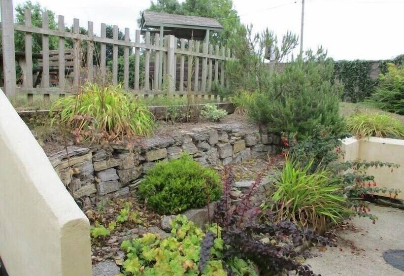 הוסטל Blackbird House, Apartments And Studios