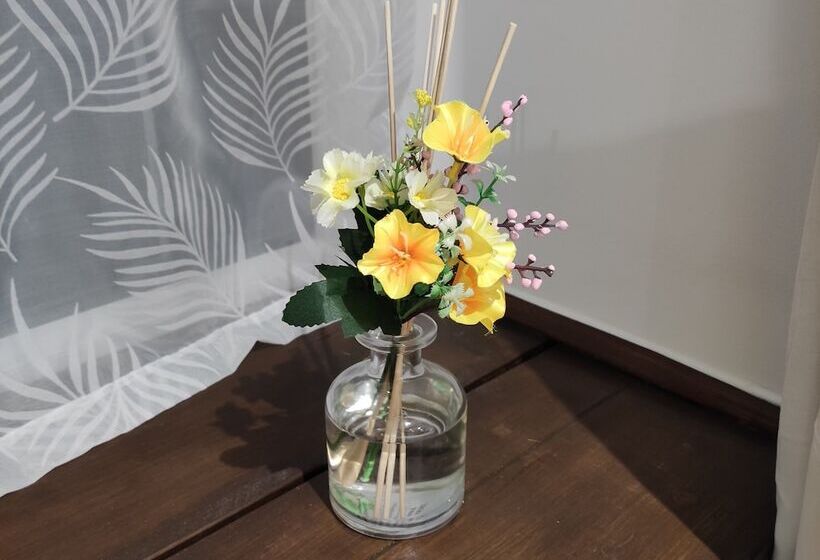 הוסטל Blackbird House, Apartments And Studios