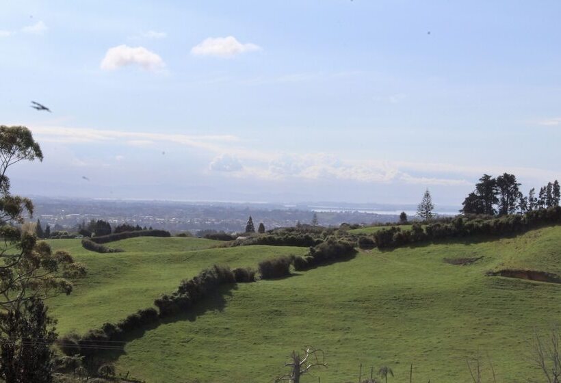 Arohanui Rural Retreat B&b