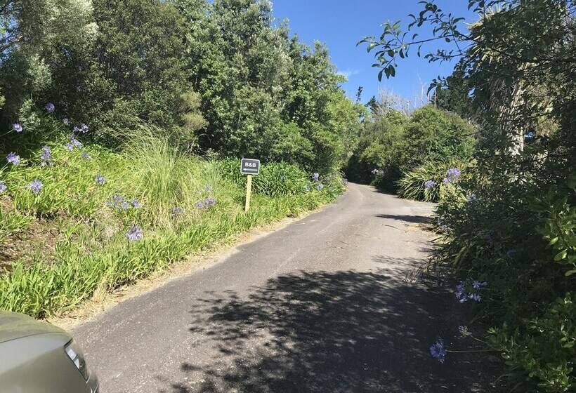 Arohanui Rural Retreat B&b